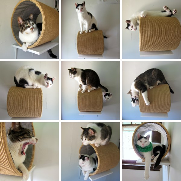 Cat Collage
