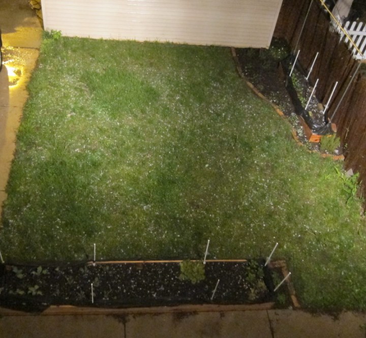 This is How My Garden&nbsp;Fails