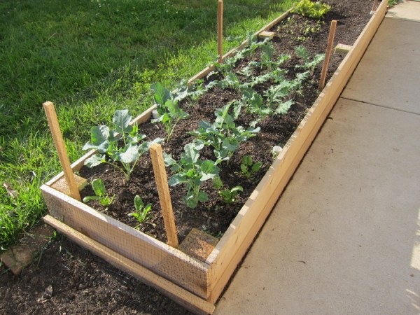 Raised Bed Garden Netting