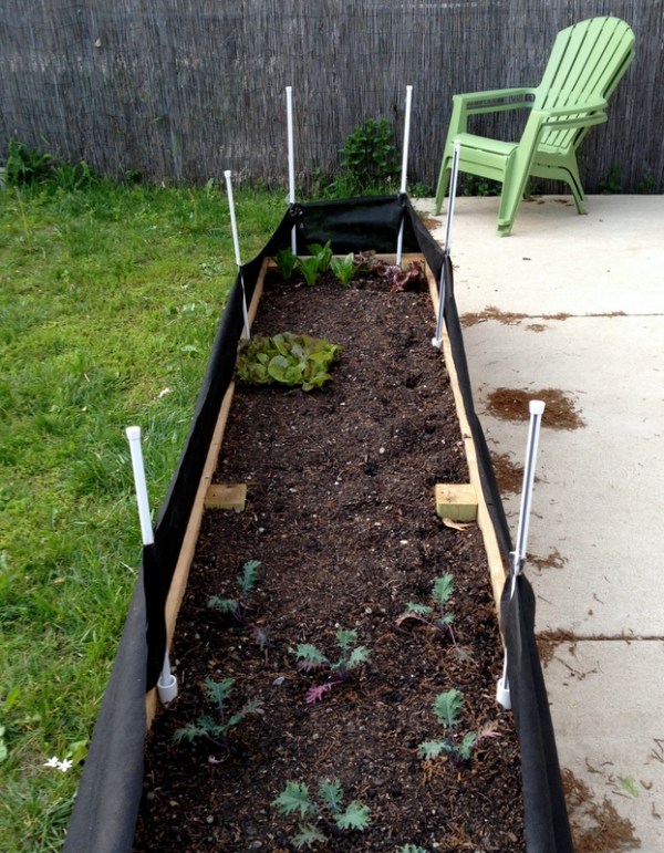 Garden Rabbit Barrier