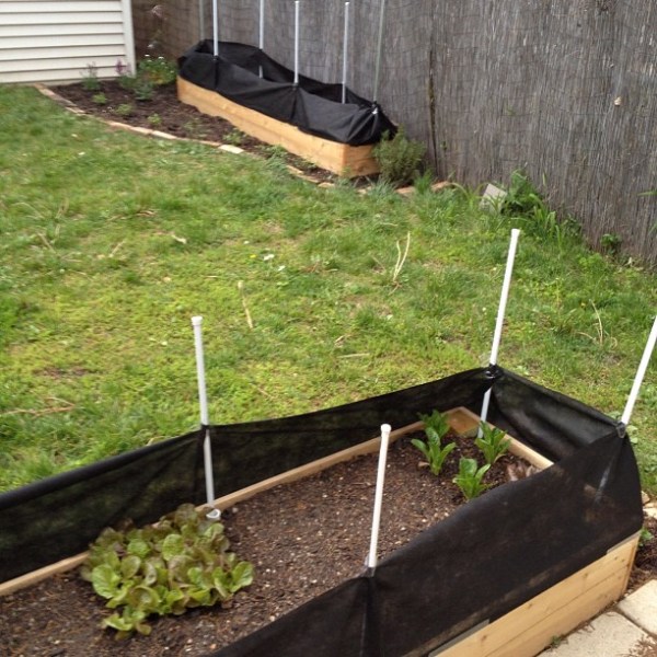 Garden Rabbit Barrier