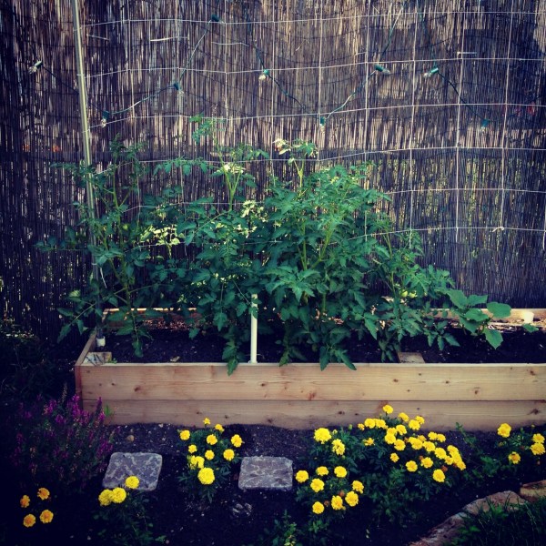 Garden Trellis Netting