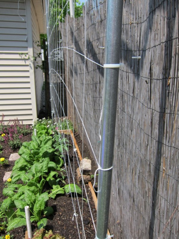Garden Trellis Netting
