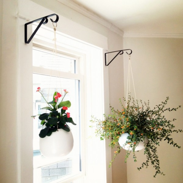 Hanging Planters