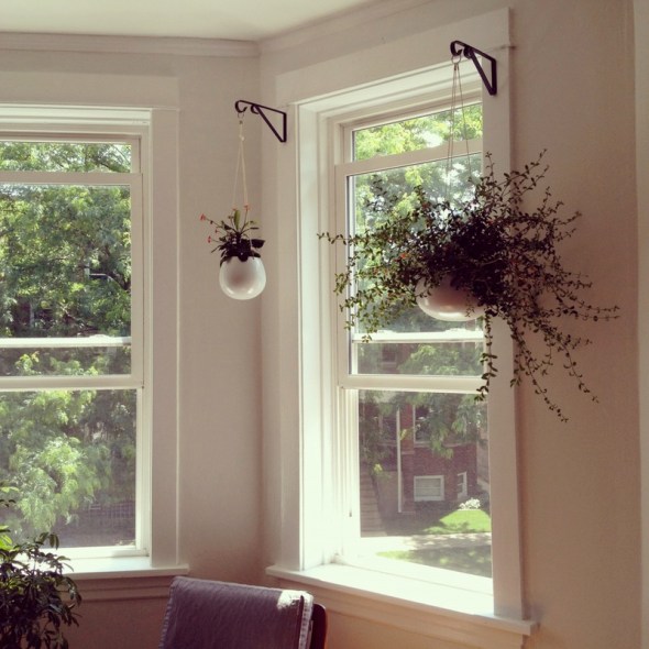 Hanging Planters