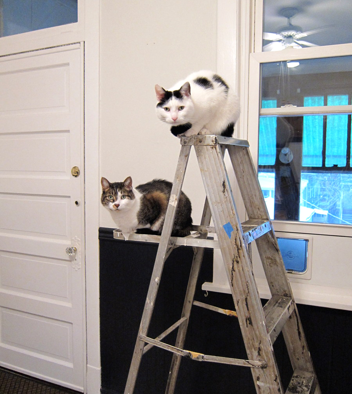 Dust Yourself Off and Try&nbsp;Again