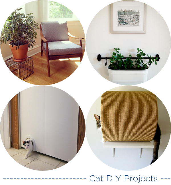 Cat DIY Projects