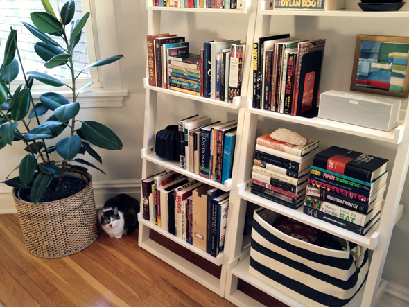 Lighted Leaning Bookcases