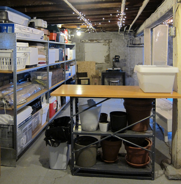 BasementOrganization