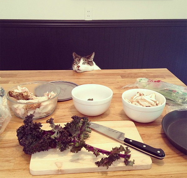 All the Ways to Follow Project&nbsp;Palermo