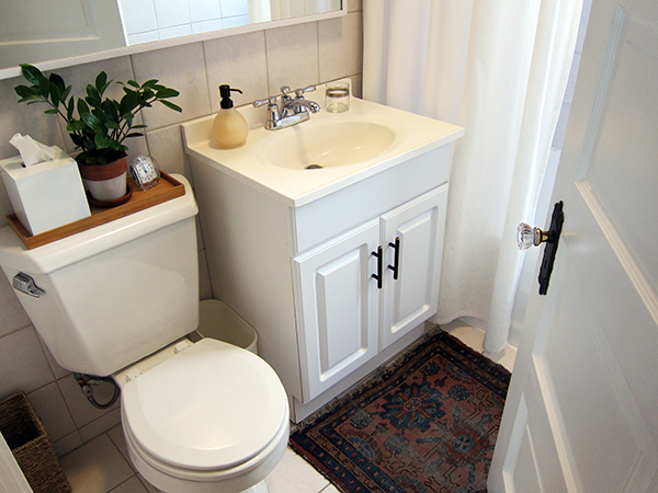 Bathroom Door and Antique Rug | Project Palermo