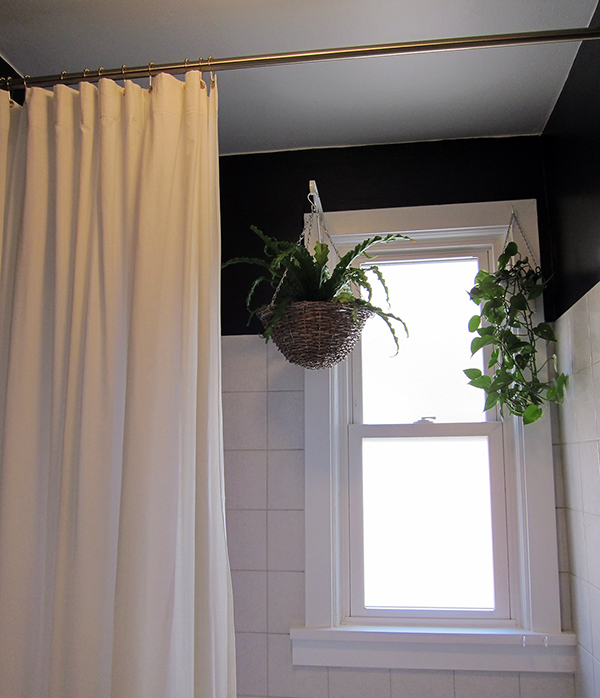 Plants in the&nbsp;Bathroom