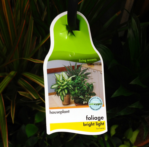 Plant Tag