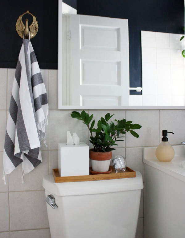 ZZ Plant in Bathroom