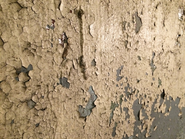 Basement Wall Before.JPG