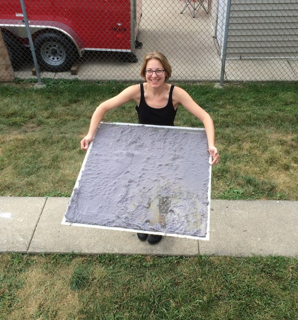 Dryer Vent Screen.JPG