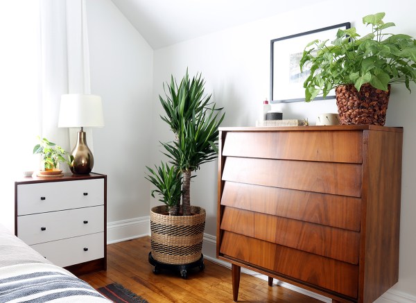Bedroom Dresser and Plants.jpg