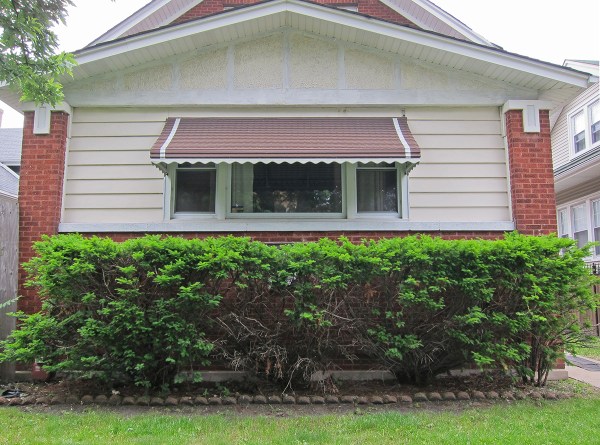 Front Yard Before 2.JPG