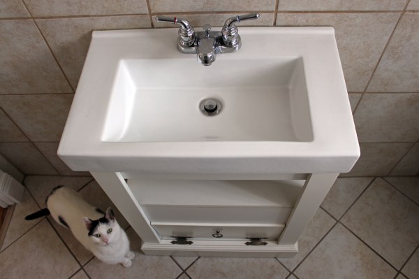 Half Bath Sink.jpg