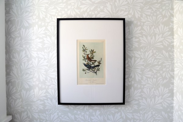 Framed Audubon Print.jpg