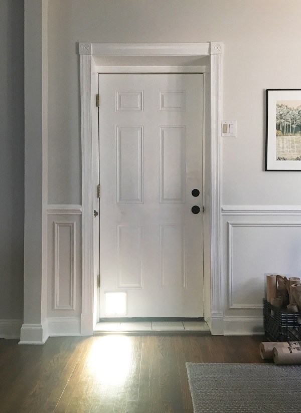 Kitchen Door Before.JPG