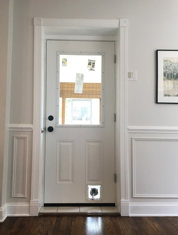 Newly Installed Kitchen Door.JPG