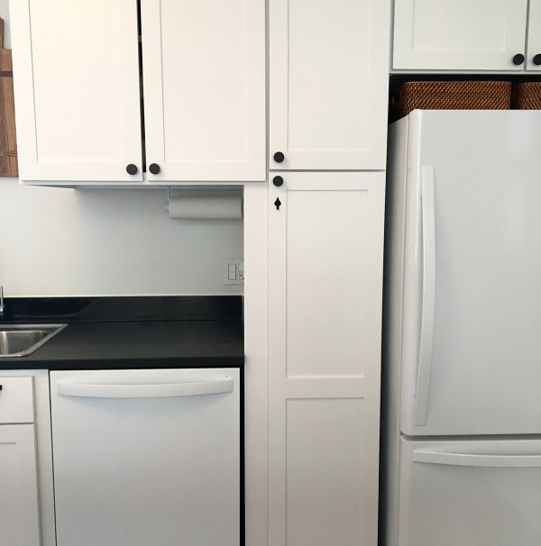 Dishwasher Filler Piece Painted