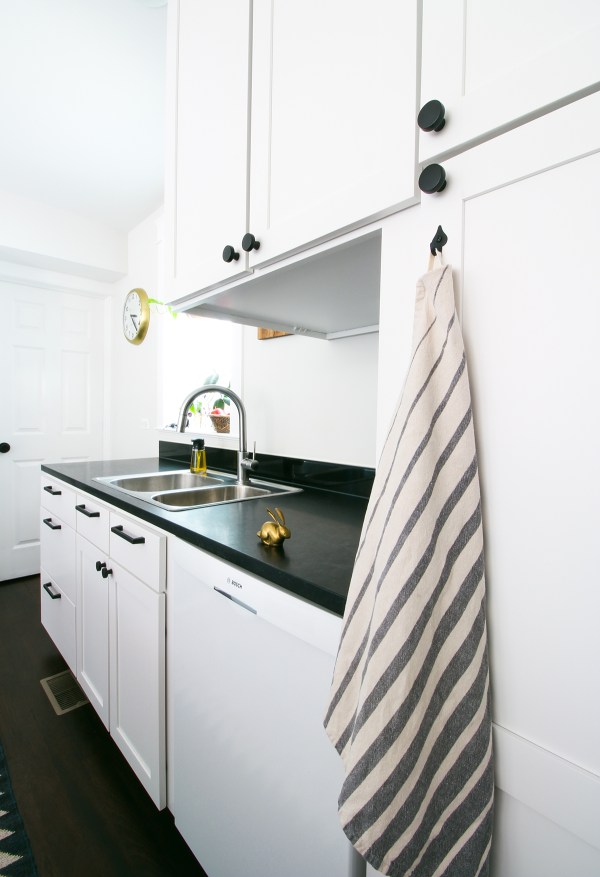 Kitchen Dishwasher Cabinet After