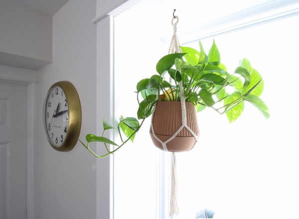 Kitchen Window Hanging Planter.jpg