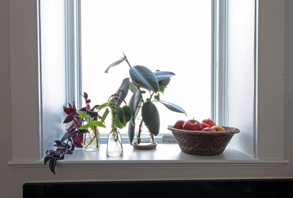 Kitchen Window Sill.jpg
