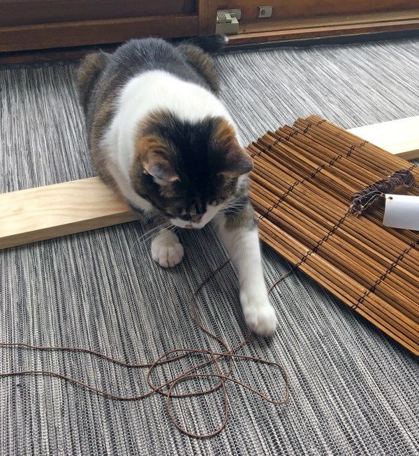 Lola Loves String