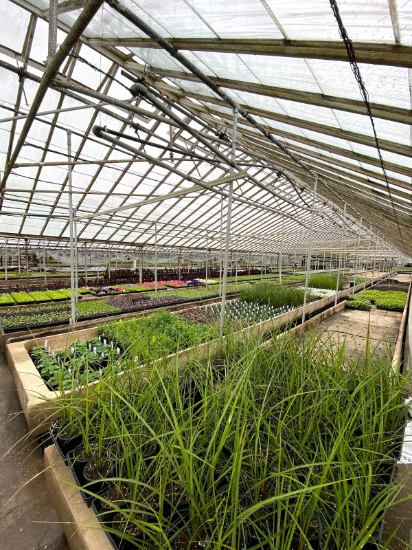 Greenhouse