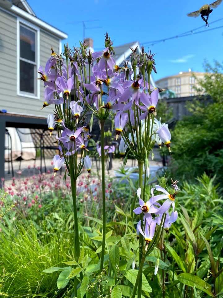 ORC Week 6: Cursing the Queen and Hailing the&nbsp;Halo