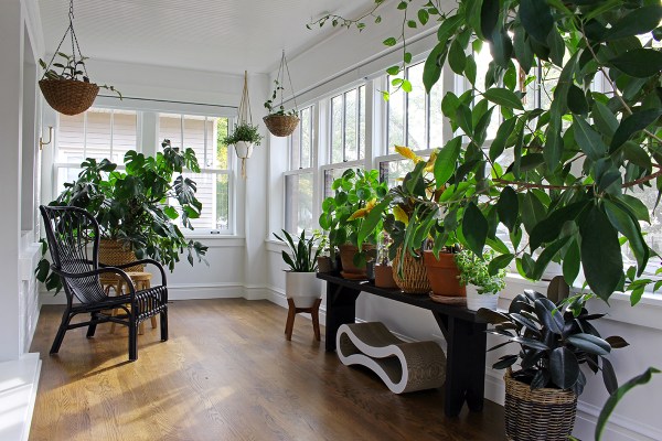 bungalow-sunroom-with-plants